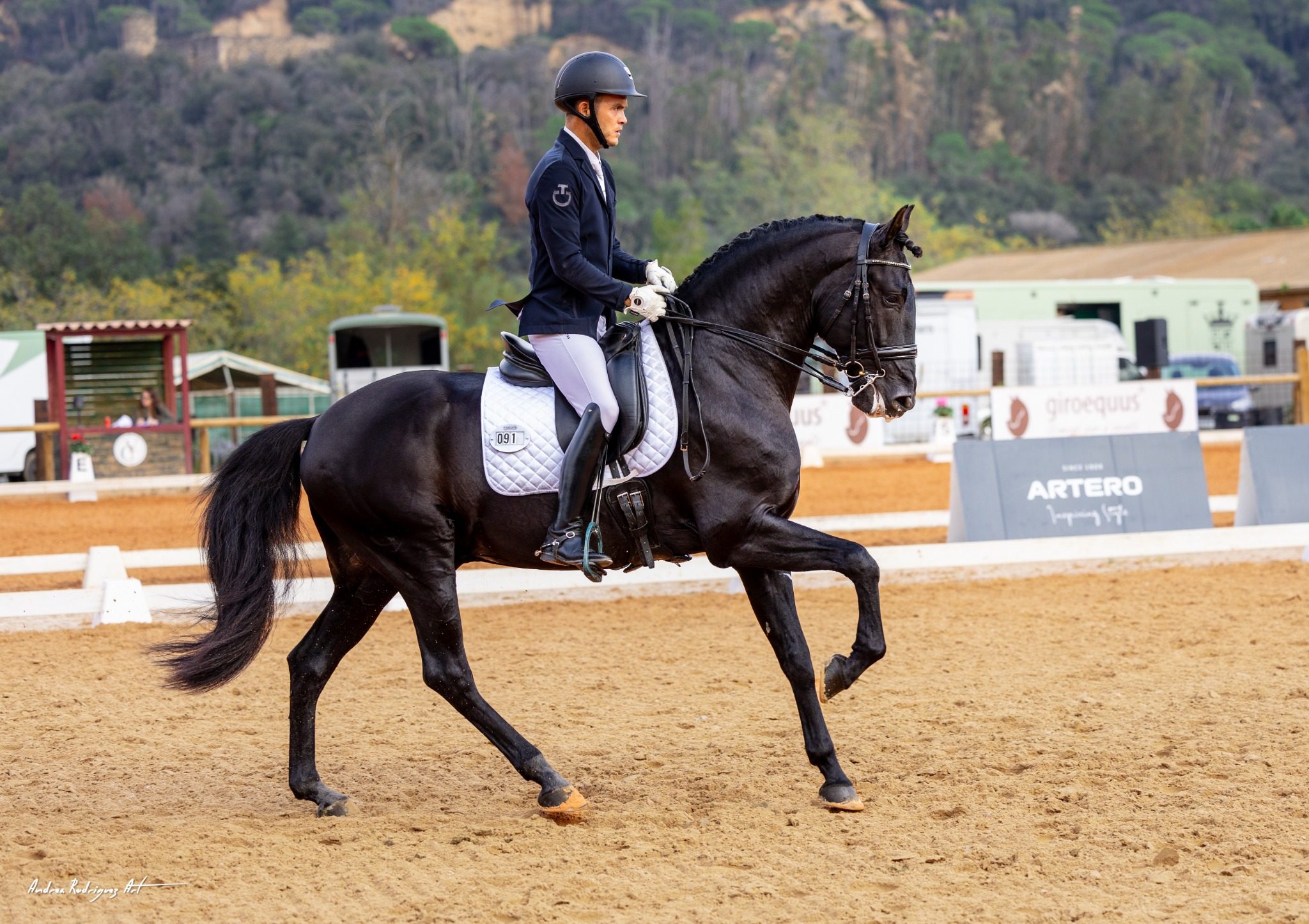 Caballo y jinete de perfil en competición