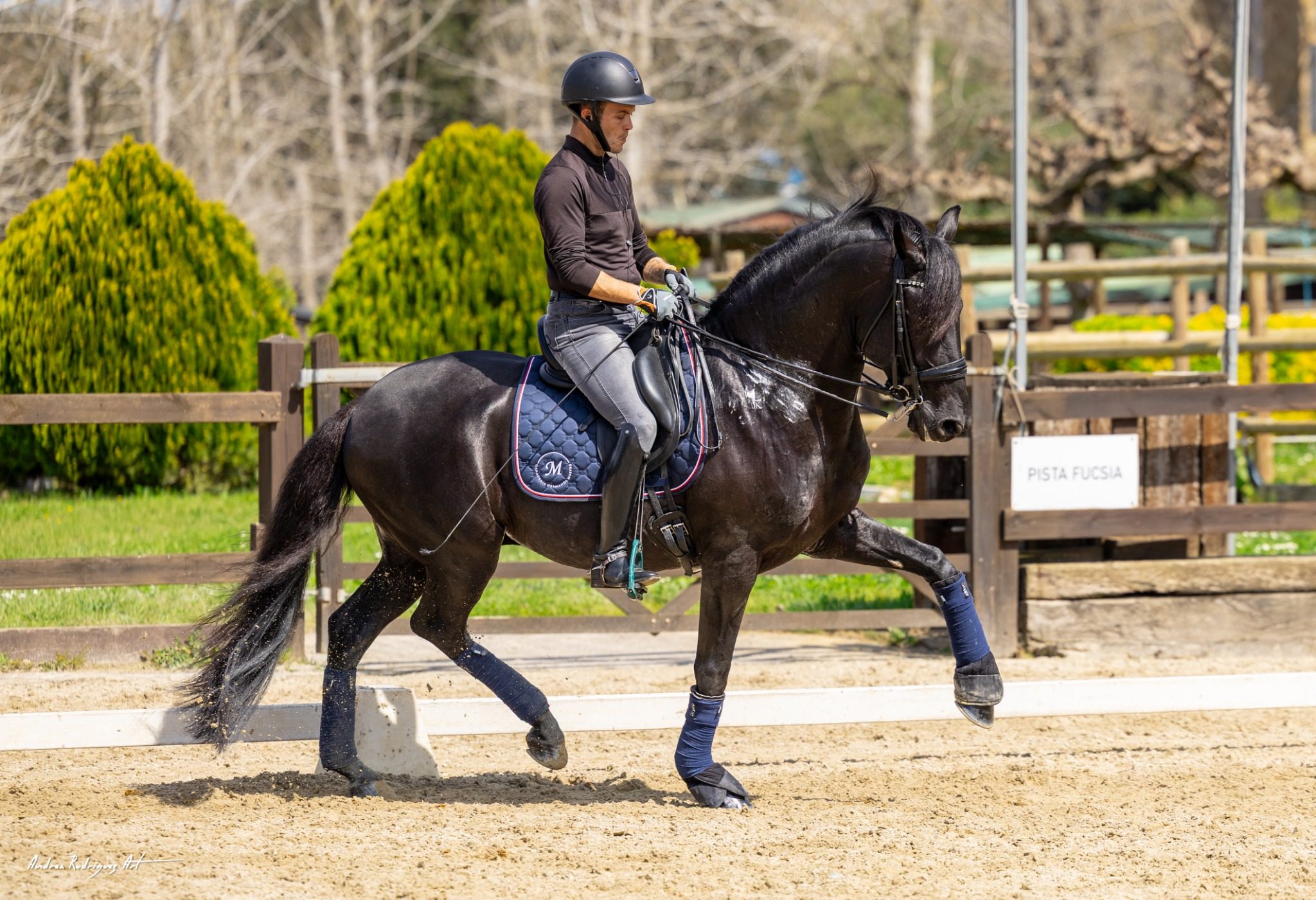 Mateo en entrenamiento técnico con caballo oscuro