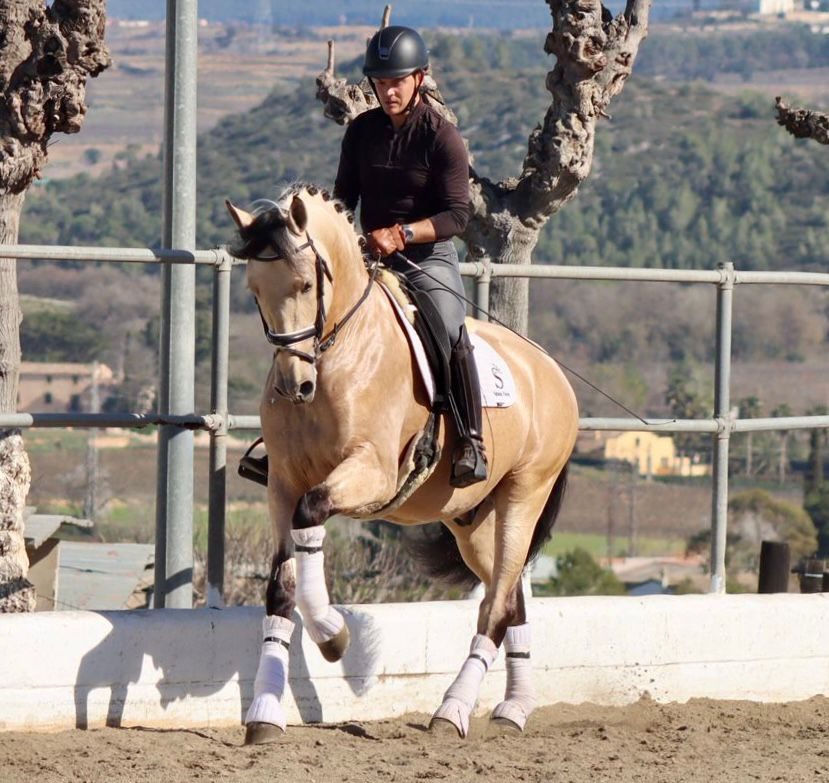 Mateo montando un caballo de capa clara